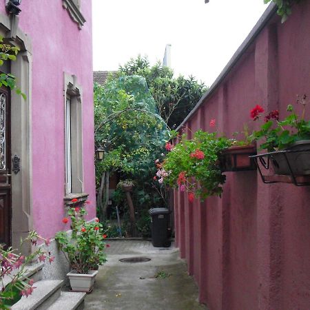 La Baraque Villa กอลมาร์ ภายนอก รูปภาพ